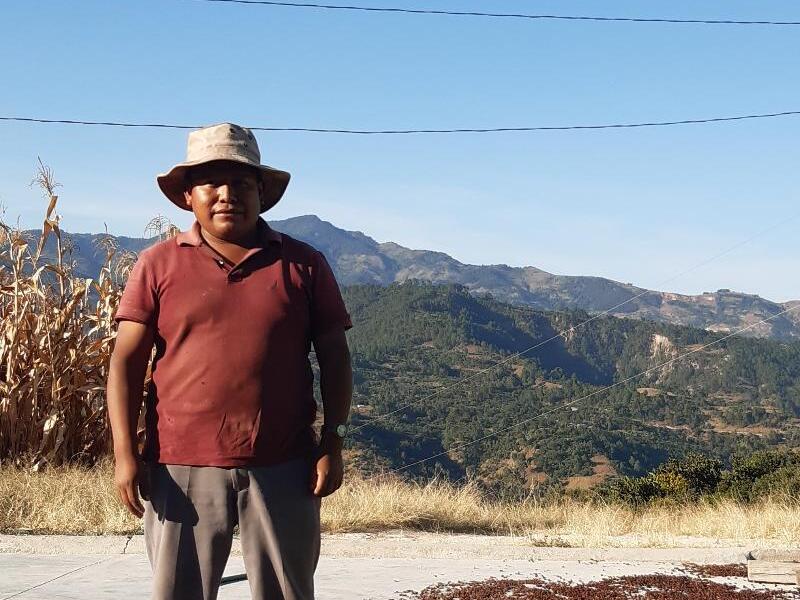 グアテマラ Co-NECT PROJECT サンマルコス エル・フエルト農園